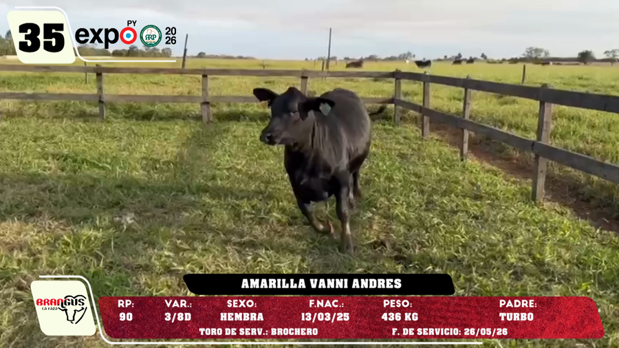 Lote LOTE 35