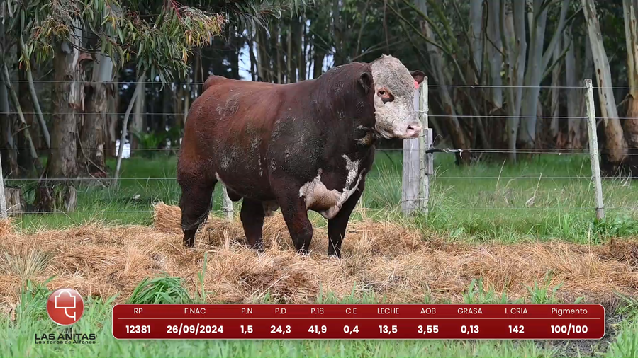 Lote Lote 30