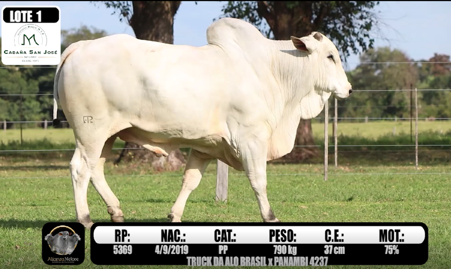 Lote LOTE  1 -RP 5369