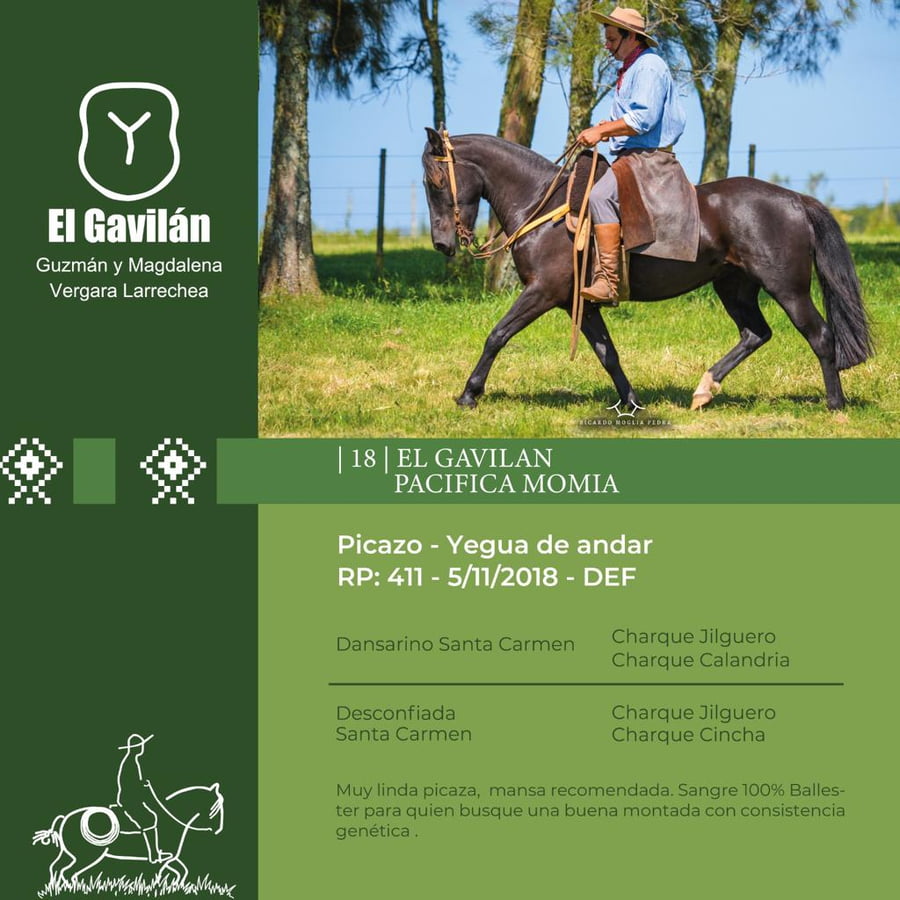 Lote El Gavilán Pacífica Momia (RP 411) Cabaña "El Gavilán"