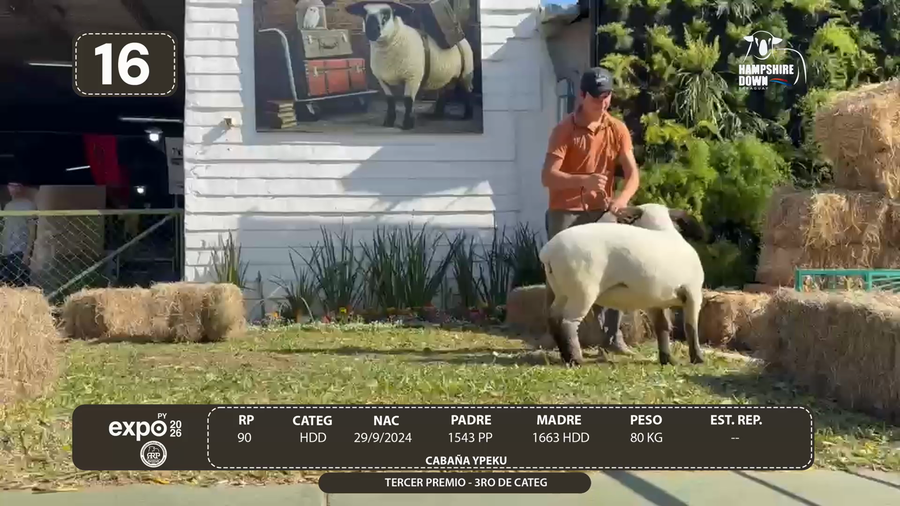 Lote LOTE 16 - BOZAL