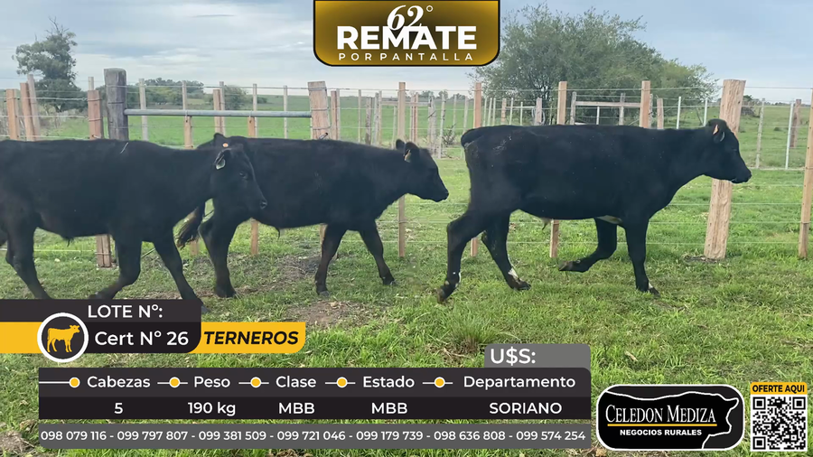 Lote 5 Terneros en Colonia Berger, a 4 km de Cardona Soriano