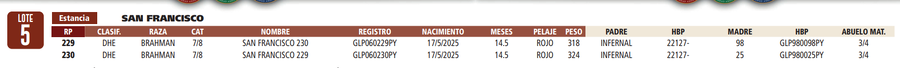 Lote LOTE 5
