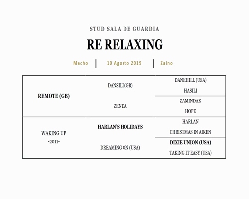 Lote RE RELAXING (REMOTE - WAKING UP)