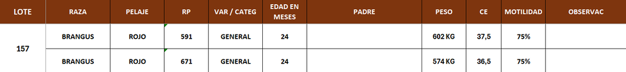 Lote LOTE 157