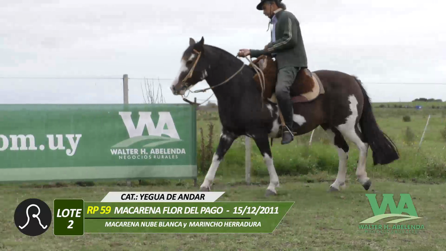 Lote MACARENA FLOR DEL PAGO