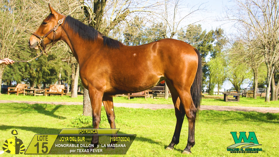 Lote JOYA DEL SUR