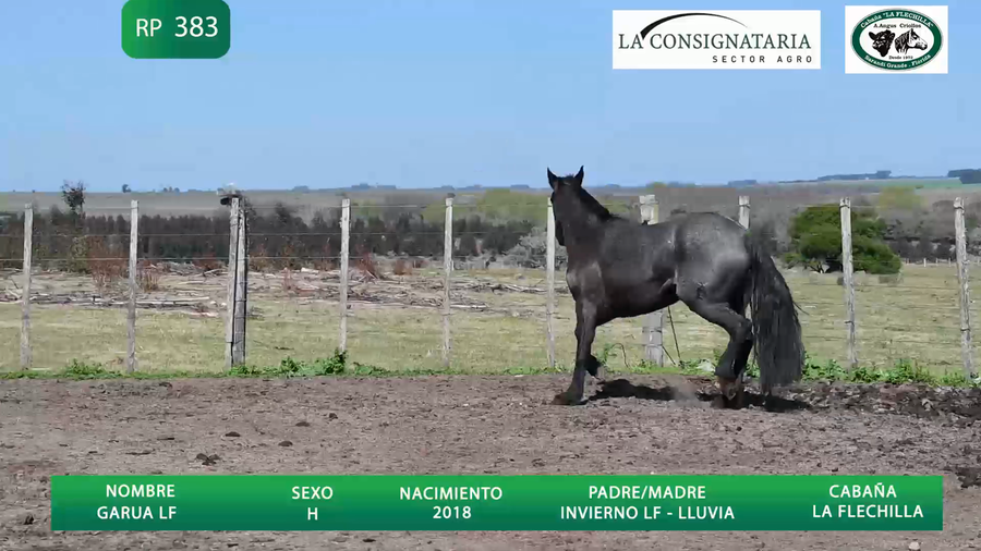 Lote Garua LF