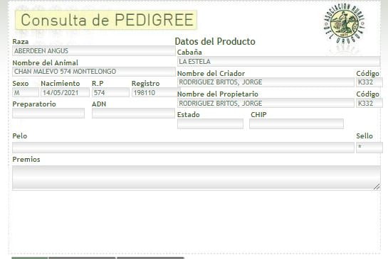 Lote TORO PI - RP 574