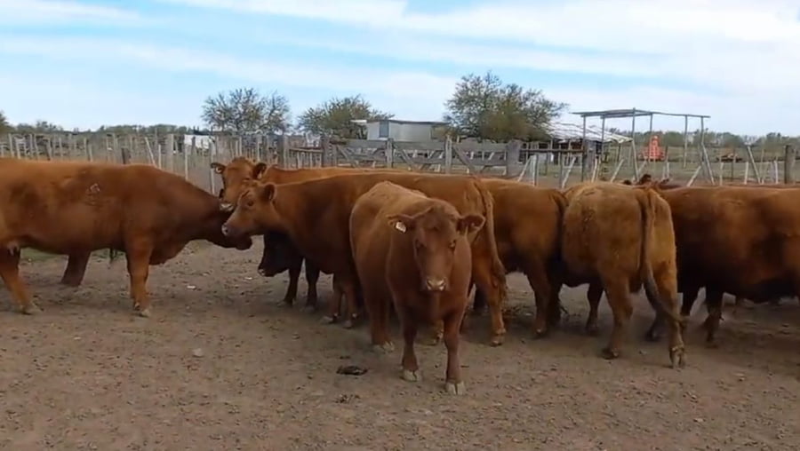 Lote Estancia Magnin