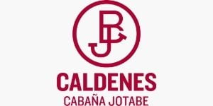 Lote VAQUILLONAS PR PREÑADAS  (CORRAL 50)