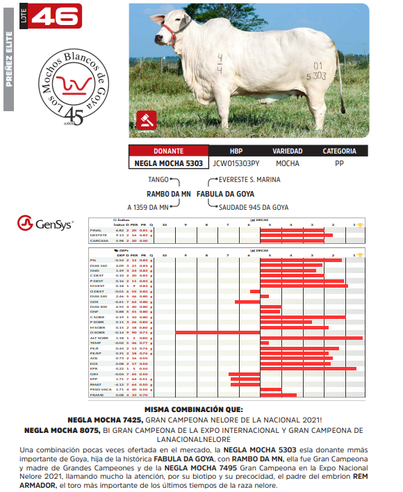 Lote LOTE 46