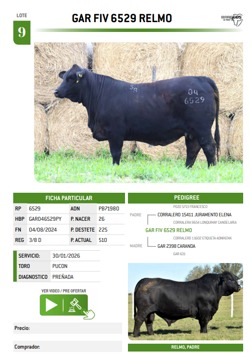 Lote LOTE 9