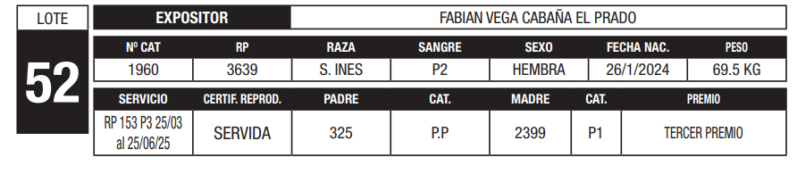 Lote LOTE 52