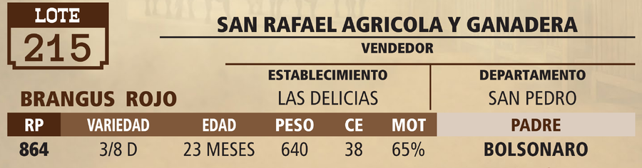 Lote LOTE 215 - VIVO