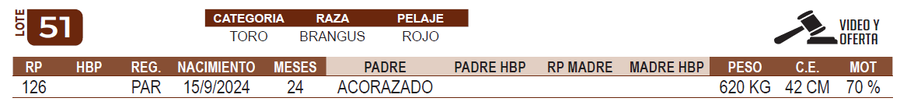 Lote LOTE 51