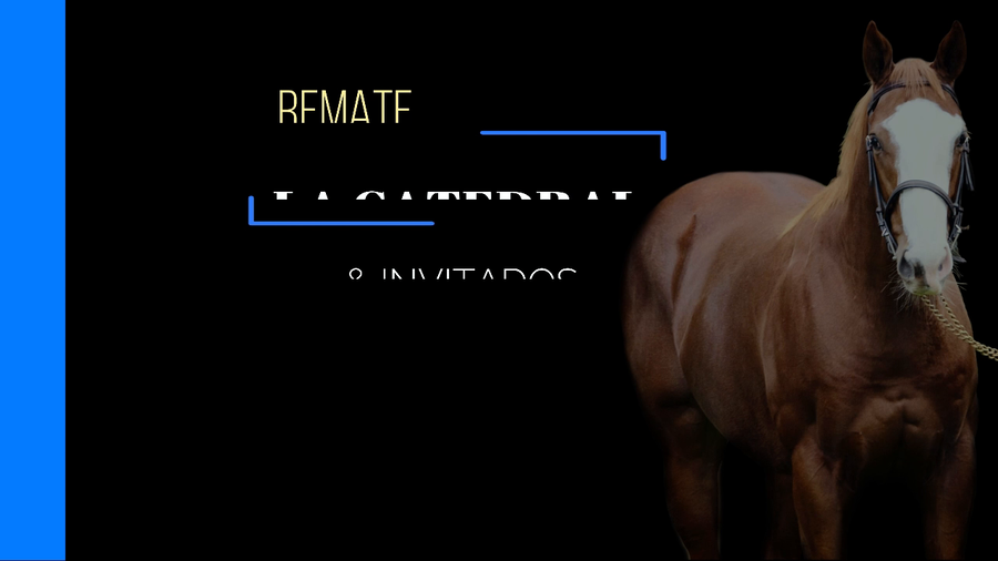 Lote TRAIGO PAZ (EQUAL TALENT -  RECONCILIATION)