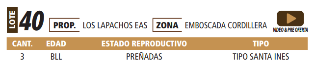 Lote LOTE 40 -POR PANTALLA