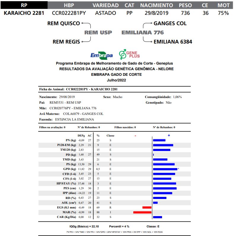 Lote LOTE  12-RP K2281