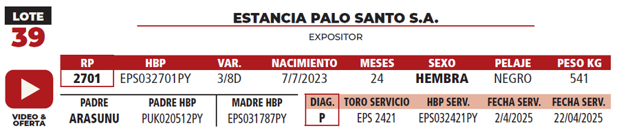 Lote LOTE 39
