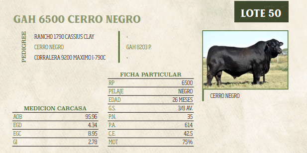 Lote LOTE 50