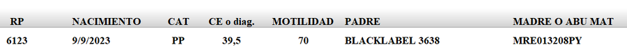Lote LOTE 52