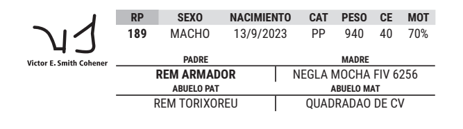 Lote LOTE 44