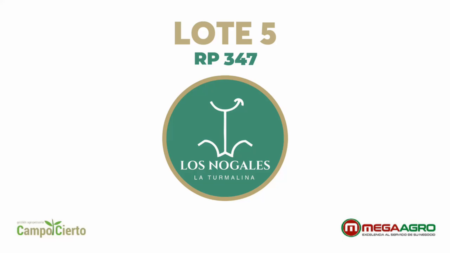 Lote LOS NOGALES