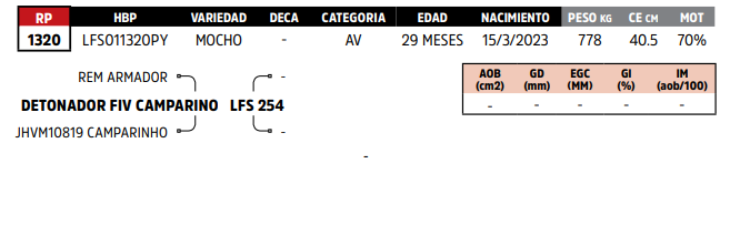 Lote LOTE 25