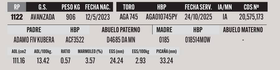 Lote LOTE 38 SALE A VENTA EL 50%