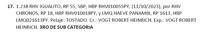 Lote LOTE 17
