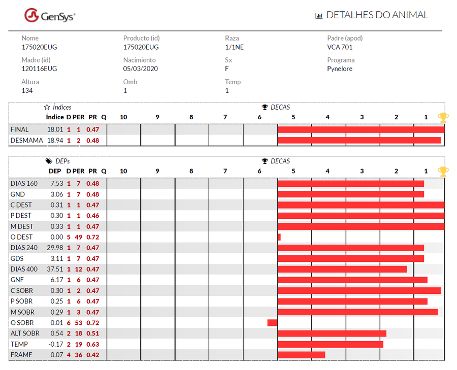 Lote Nacional Nelore Campo - Lote 6
