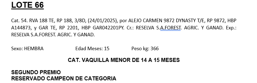 Lote LOTE 66