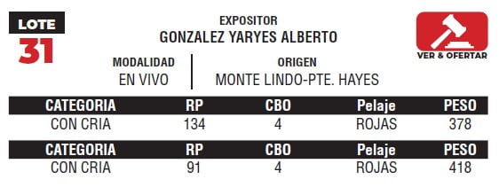 Lote LOTE 31- EN VIVO