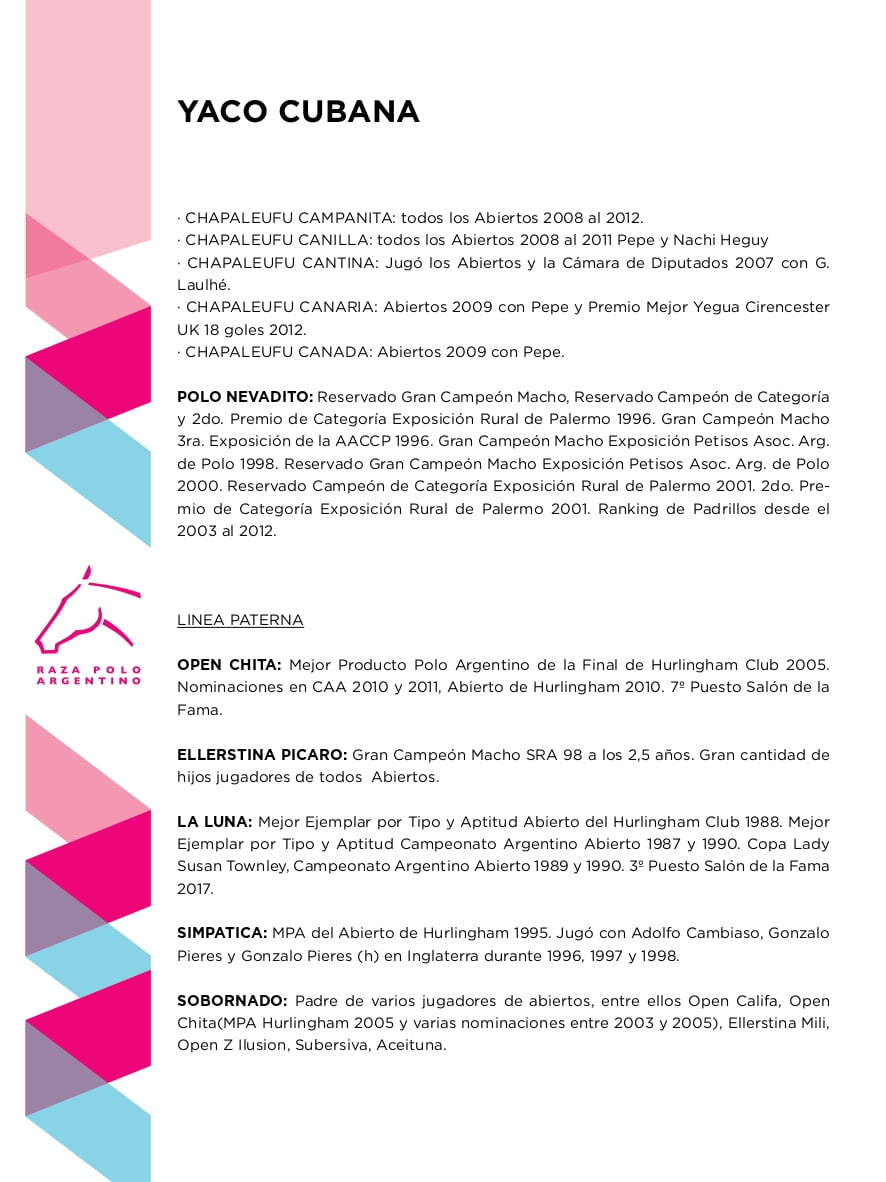 Lote YACO CUBANA (GURI TARZAN - CHAPALEUFU CANICA)