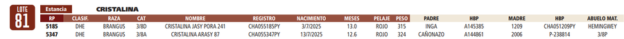 Lote LOTE 81