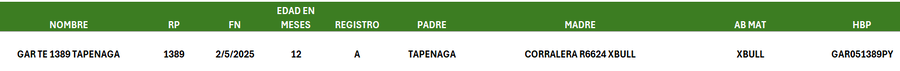 Lote LOTE 12