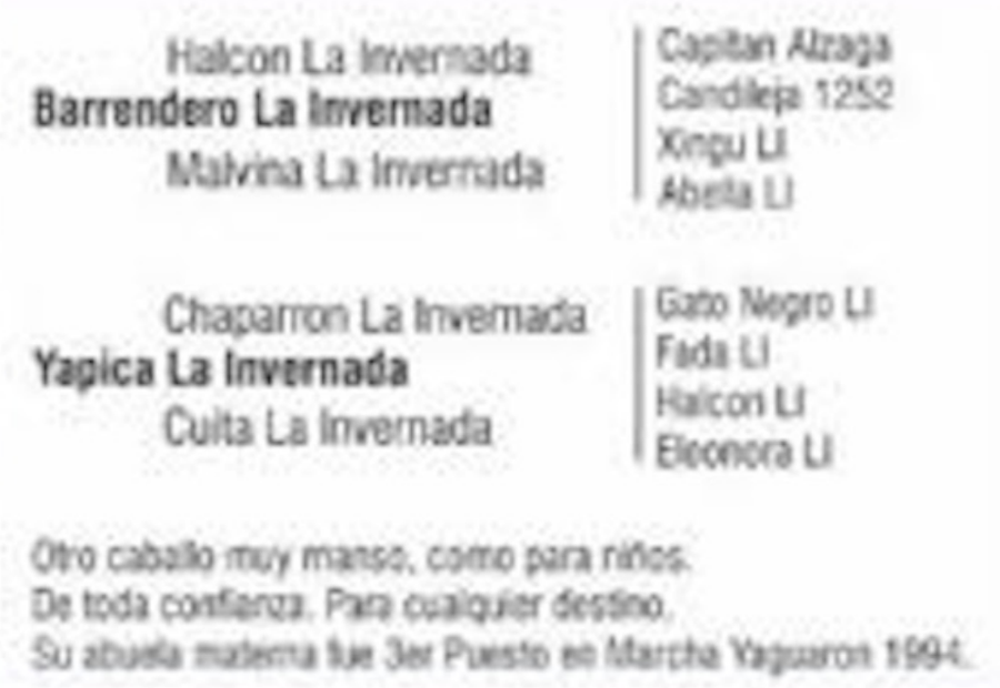 Lote MUÑECO DEL QUEBRACHAL