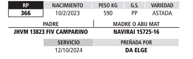 Lote LOTE 10
