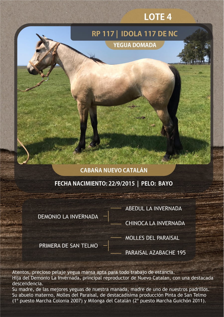 Lote IDOLA 117 DE NC