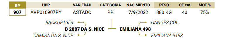 Lote LOTE 8