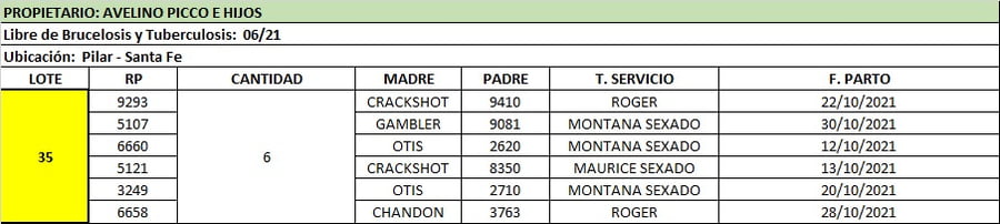 Lote Lote 35 Avelino Picco