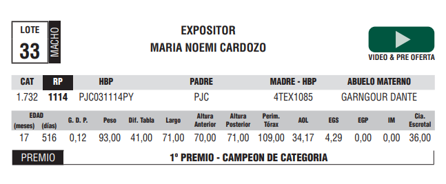 Lote LOTE 33