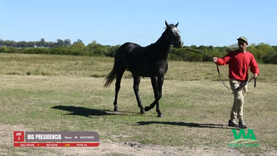 Lote BIG PRESIDENCIA