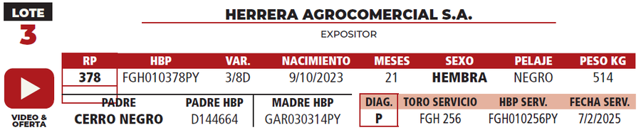 Lote LOTE 3