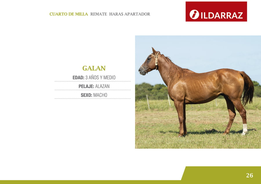 Lote GALAN