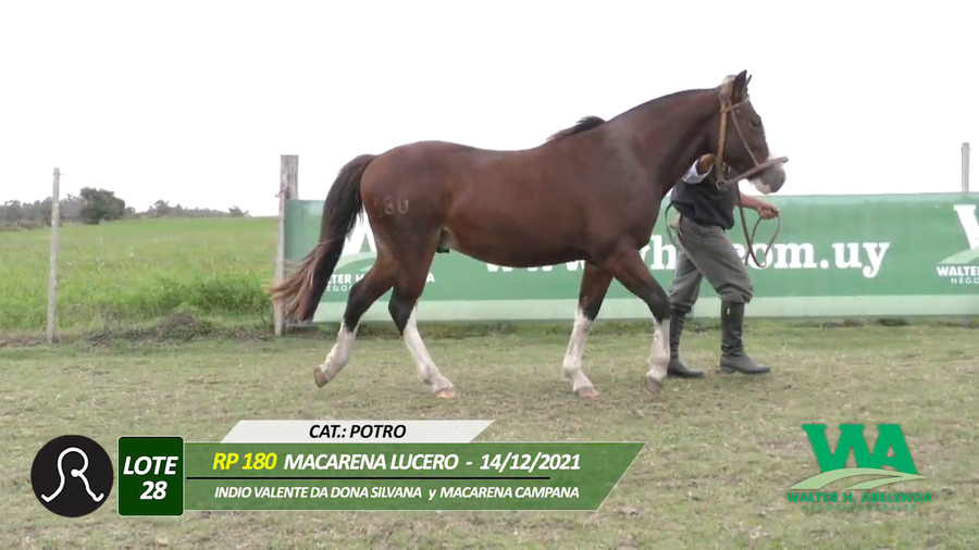 Lote MACARENA LUCERO