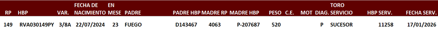 Lote LOTE 19