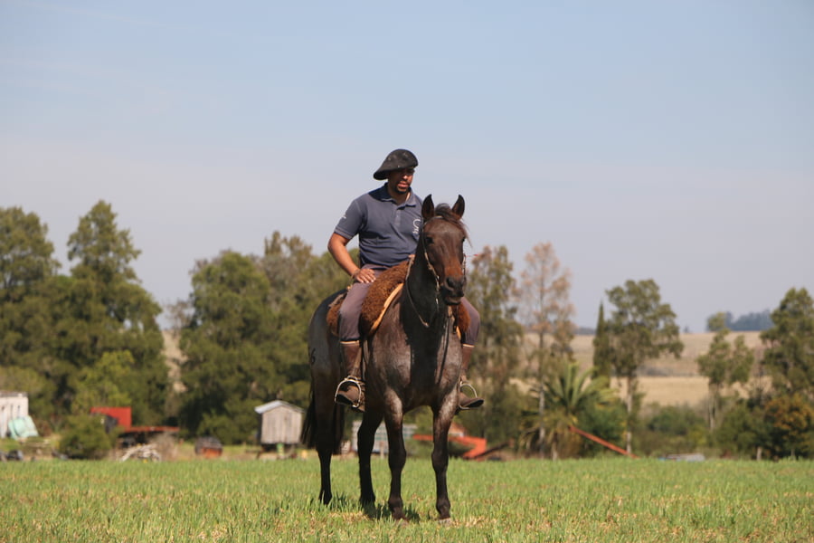Lote SANTA GLORIA BIENVENIDA