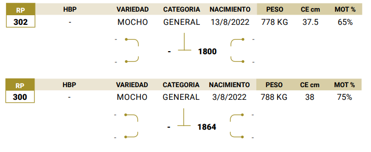 Lote LOTE 31